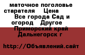 маточное поголовье старателя  › Цена ­ 3 700 - Все города Сад и огород » Другое   . Приморский край,Дальнегорск г.